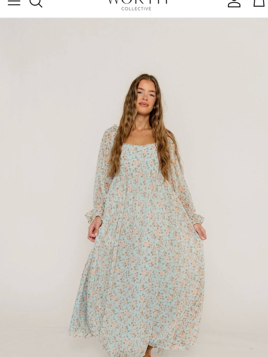 Worth Collective Dresses & Skirts - Worth Collective Light Blue Floral Maxi Dress with Puff Sleeves